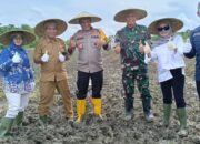 Kukar Dukung Program Penanaman Jagung Satu Juta Hektare di Kaltim