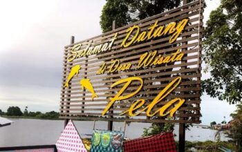 Desa Wisata Pela: Pesona Alam, Pesut Mahakam, dan Kearifan Lokal yang Memikat
