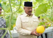 Bupati Kukar dan Kelompok Tani Kejawi Permai Panen Perdana Melon Hidroponik, Dorong Pertanian Modern dan Kesejahteraan Petani