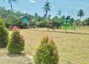 Desa Loh Sumber Revitalisasi Wisata Mapan Tama, Bangkitkan Ekonomi Pasca Pandemi