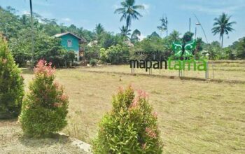 Desa Loh Sumber Revitalisasi Wisata Mapan Tama, Bangkitkan Ekonomi Pasca Pandemi
