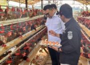 Inovasi Telur Omega Antar Desa Loa Duri Ilir Raih Juara 3 Nasional