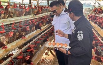 Inovasi Telur Omega Antar Desa Loa Duri Ilir Raih Juara 3 Nasional
