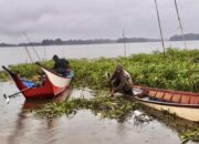 Gotong Royong Warga Muara Wis Wujudkan Padat Karya Tunai Desa 2025