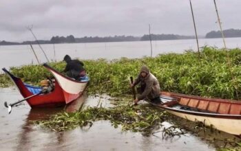 Gotong Royong Warga Muara Wis Wujudkan Padat Karya Tunai Desa 2025